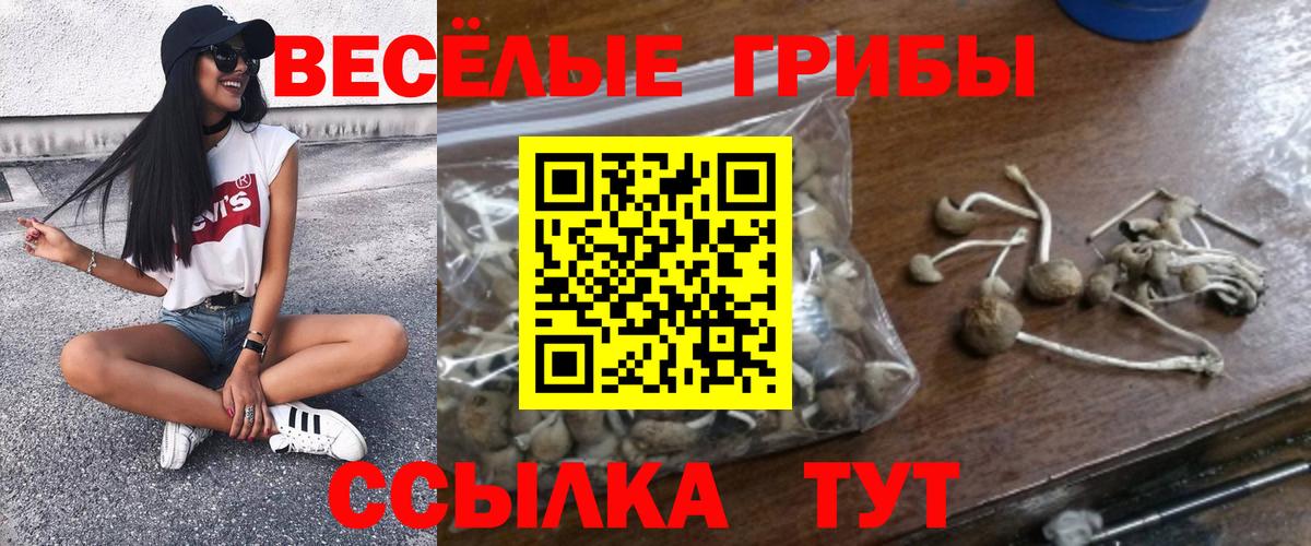 Псилоцибиновые грибы мухоморы  Вход с VPN  Великий Новгород  Галлюциногенные грибы Psilocybine cubensis 
