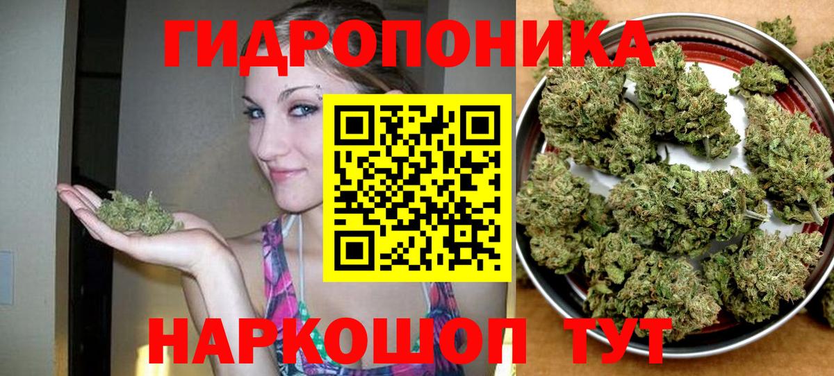 Марихуана тримм  Бошки Шишки LSD WEED  Вход с VPN  Великий Новгород  Канабис тримм  Шишки марихуана Amnesia 